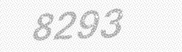 Visual security code — type the characters shown in the image